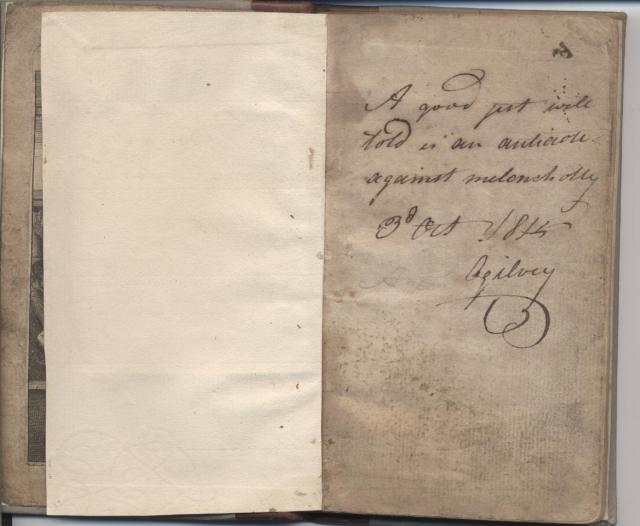 Macaroni Jester owner's annotation