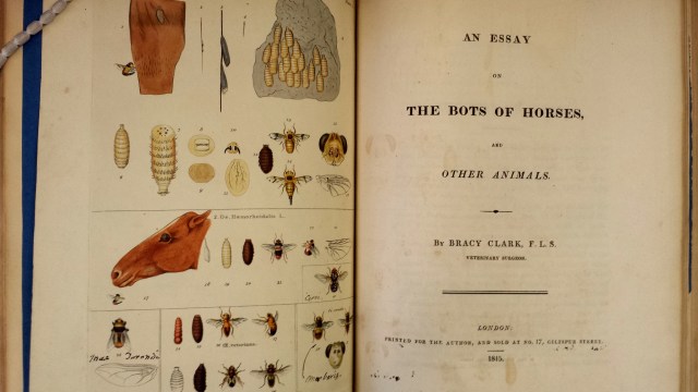 Bracy Clark. An essay of the bots of horses and other animals (1815)