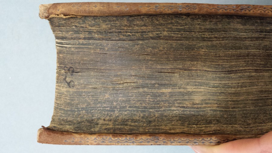 Fore edge numbering (Hawkins Vol. 45)
