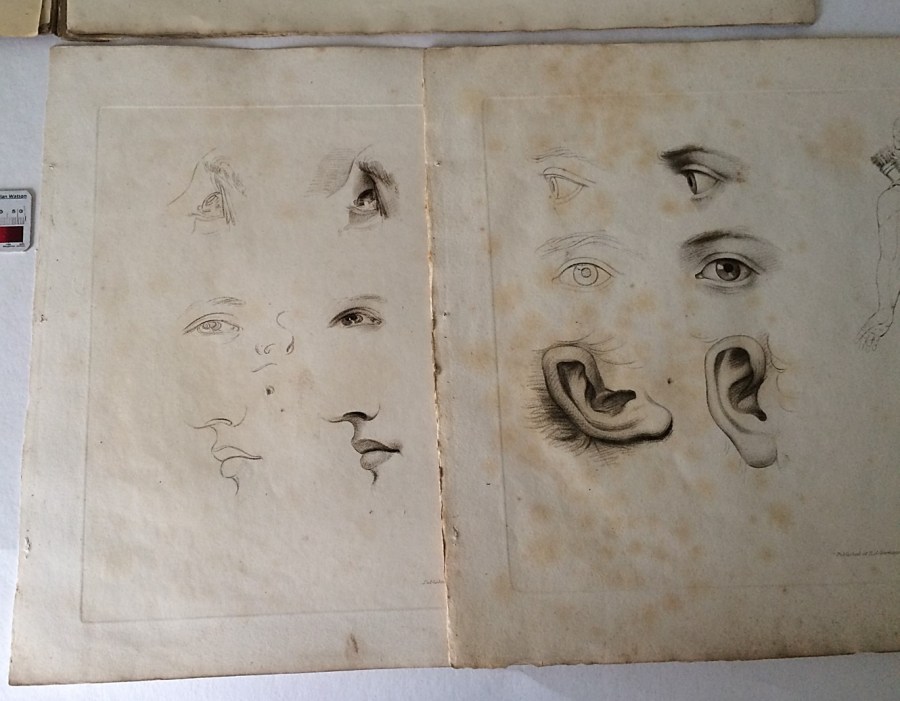 Sheets from Elements of drawing (1820) showing stages of treatment