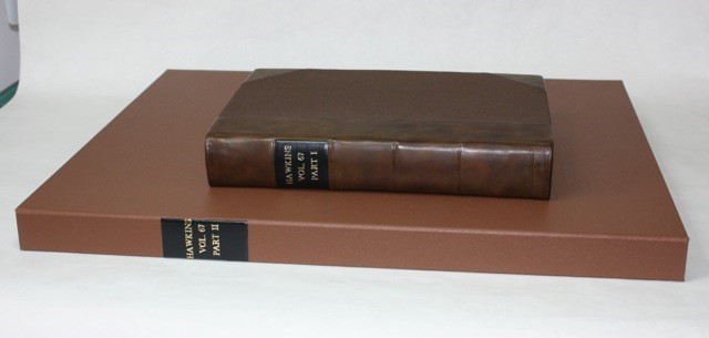 Hawkins volume 67 after treatment