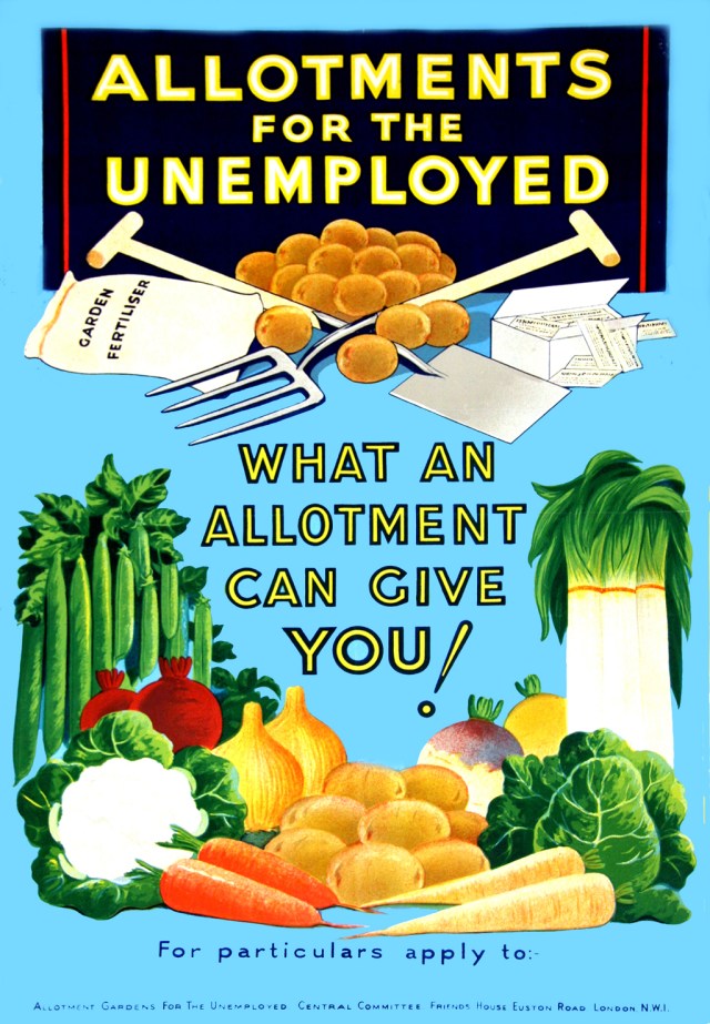 Allotments for the unemployed: what an allotment can give you!
